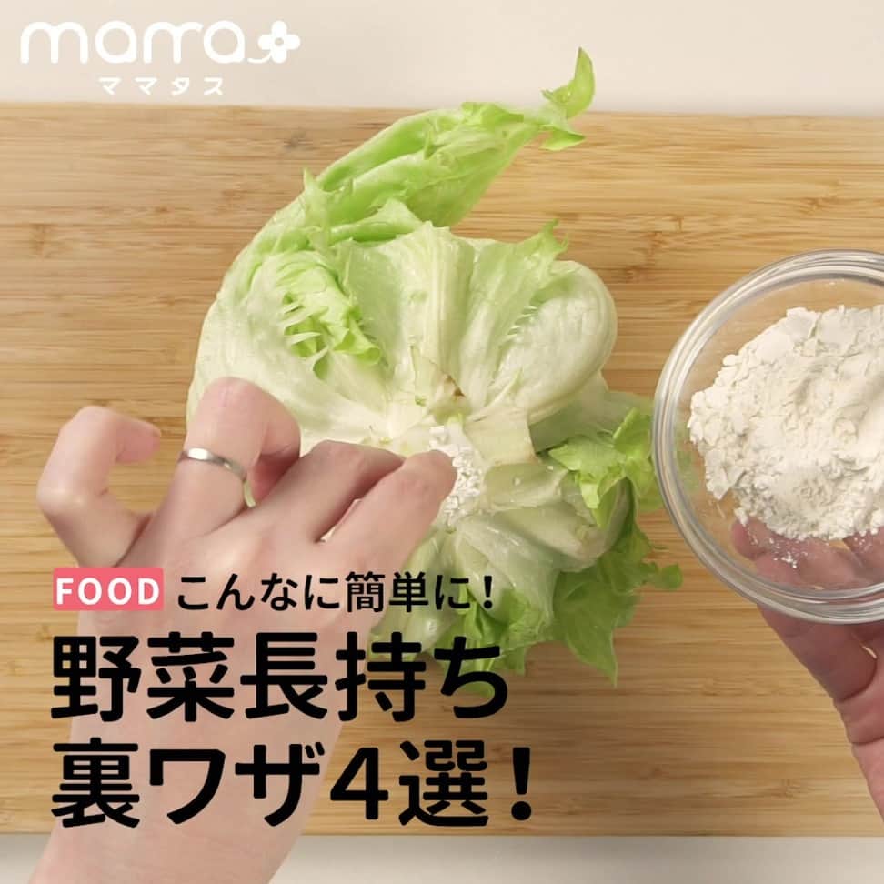 のインスタグラム：「こんなに簡単！野菜長持ちの裏ワザ４選 . みなさんの投稿を見て返信させていただきます💌コメントお待ちしております🤗 . 冷蔵庫に入れて、いつの間にか痛んでしまう野菜 そんな野菜を簡単に長持ちさせる方法を紹介！ . ▼Case1 レタスの保存方法 １.レタスの芯の表面を包丁で薄く切る ２.芯の部分に小麦粉をまぶす ３.レタスを新聞紙で包む ４.ポリ袋に入れてしっかり結ぶ ５.芯の部分を下にして、冷蔵庫で保存 ６.小麦粉が水分を保つので痛みにくい . ▼Case2 もやしの保存方法 １. 保存容器にもやしを入れる ２.もやしが浸かるくらい水を入れる ３.毎日水を変えると１週間以上は長持ちする ４.元々水で発芽するので、水と相性が良い . ▼Case３ たまねぎの保存方法 １.ストッキングの中にたまねぎを一個ずつ入れて結び、連なるようにする ２.ストッキングの先を結び、余った部分をハサミで切る ３.台所などに吊るしておく ４.使う分だけハサミで切って使う ５.たまねぎは通気性がポイント！ . ▼Case４ ブロッコリーの保存方法 １.２〜３㎝の水が入ったガラス容器にブロッコリーを立てる  ２.その上にポリ袋を被せる  ３.容器の下の部分に輪ゴムを止める ４.乾燥を防ぐことによって新鮮さが保たれる . 👶💗 #ママタス をつけてお子さんやご家族との何気ない幸せな瞬間を撮った写真や動画を投稿してください💕 . 📸素敵な写真や動画は @mamatastv_photo などでご紹介させていただきます✨ . 投稿させていただく場合は、事前にご連絡いたします🎀 . #育児ママ#育児中#育児ライフ#ワーママライフ#こそだて#育児の合間#子育て応援#子どものいる暮らし#育児を楽しむ#子育てあるある#子育ての悩み#ママさんと繋がりたい#子育てぐらむ#裏技#裏ワザ#ライフハック#豆知識#野菜#たまねぎ#もやし#ブロッコリー#レタス#長持ち#小麦粉#野菜保存#新鮮#ママ」