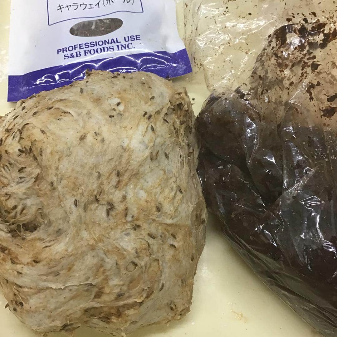 魔女菅原さんのインスタグラム写真 - (魔女菅原Instagram)「ライキャラウェイの原材料(の一部)  ライ麦パン生地 キャラウェイシード 自家製麦味噌✨  自家製味噌は店を始めるまでは毎年作っていたんだけど、もう3年やってない😅。ストックが何十kgとあるからまだ余裕だけど、麹多目で漬けた麦味噌がなくなったらこの味はできない。  #ライキャラウェイ #キャラウェイシードのライ麦パン #roggen #自家製天然酵母のパン屋さんカンパーニュ  #魔女菅原」3月27日 11時45分 - hatsuyosugawara