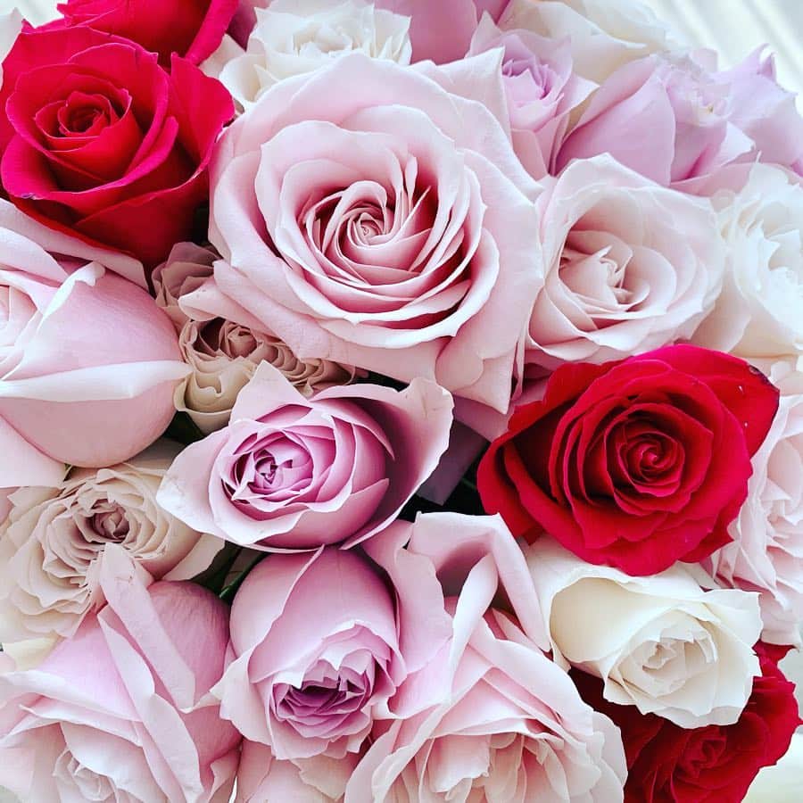 神田うのさんのインスタグラム写真 - (神田うのInstagram)「帰宅したら娘💕から渡された薔薇の花束😍 お花はいくつもらっても嬉しいです😆 ガックリきていたので😭このローズ達🌹に癒されています❤️ 明日は私のお誕生日。気持ち切り替えていきたいです。  #お花 は#心のビタミン#薔薇#ローズ#rose#ローズアレンジメント#ローズギャラリー#rosegallery#嬉しい#贈り物#しょっちゅう#薔薇のプレゼント をしてくれます#感謝#ありがとう#ビタミン補給 されています（笑）#薔薇大好き#flower」3月27日 11時51分 - unokandaofficial