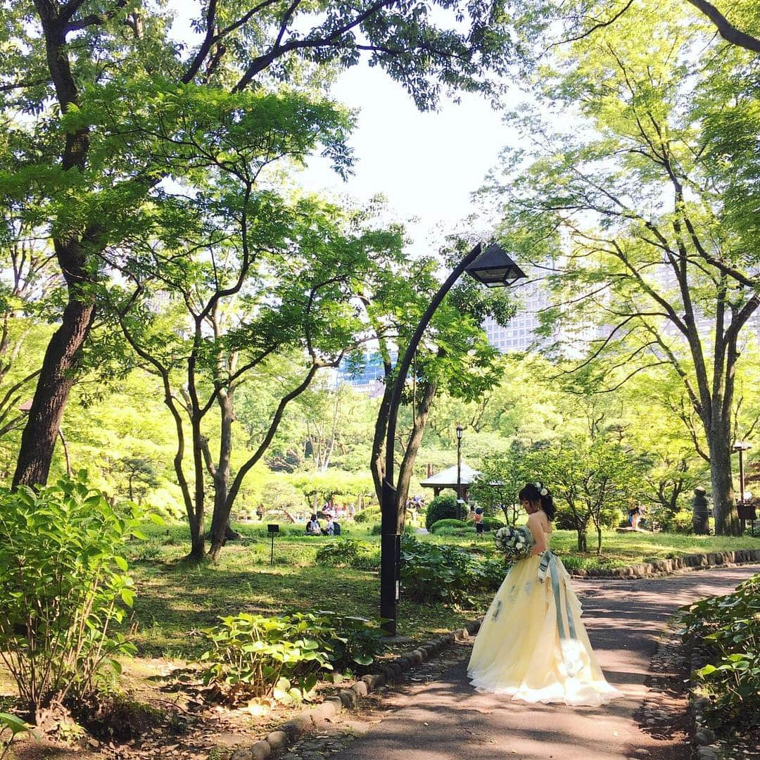 日比谷パレスさんのインスタグラム写真 - (日比谷パレスInstagram)「緑が茂る季節になりました✨✨ 日比谷パレスでは来年の春の結婚式へ向けたご見学会を開催中‼️ お花見ついでにお待ちしております😆 #ブライダルフェア  #式場見学  #プレ花嫁  #プレ花  #全国のプレ花嫁さんと繋がりたい  #公園ウェディング  #グリーンウェディング  #ナチュラルウェディング  #お花見ウェディング  #東京イベント  #日比谷公園  #日比谷パレス  #日比谷公園イベント  #前撮り」3月27日 12時02分 - hibiyapalace_wedding