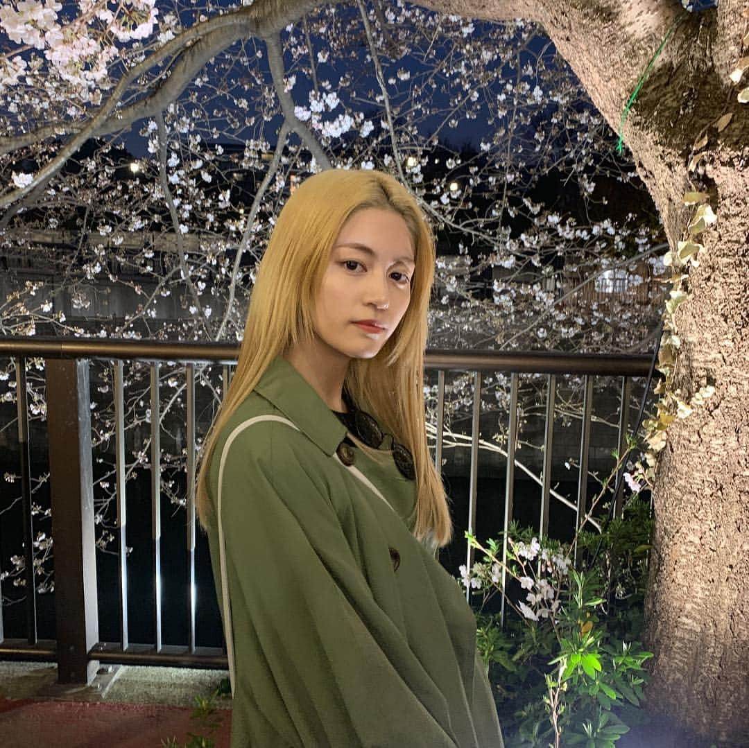 楓さんのインスタグラム写真 - (楓Instagram)「昨日見た桜パワーで 今日も頑張ろう🌙」3月27日 12時08分 - kaede_