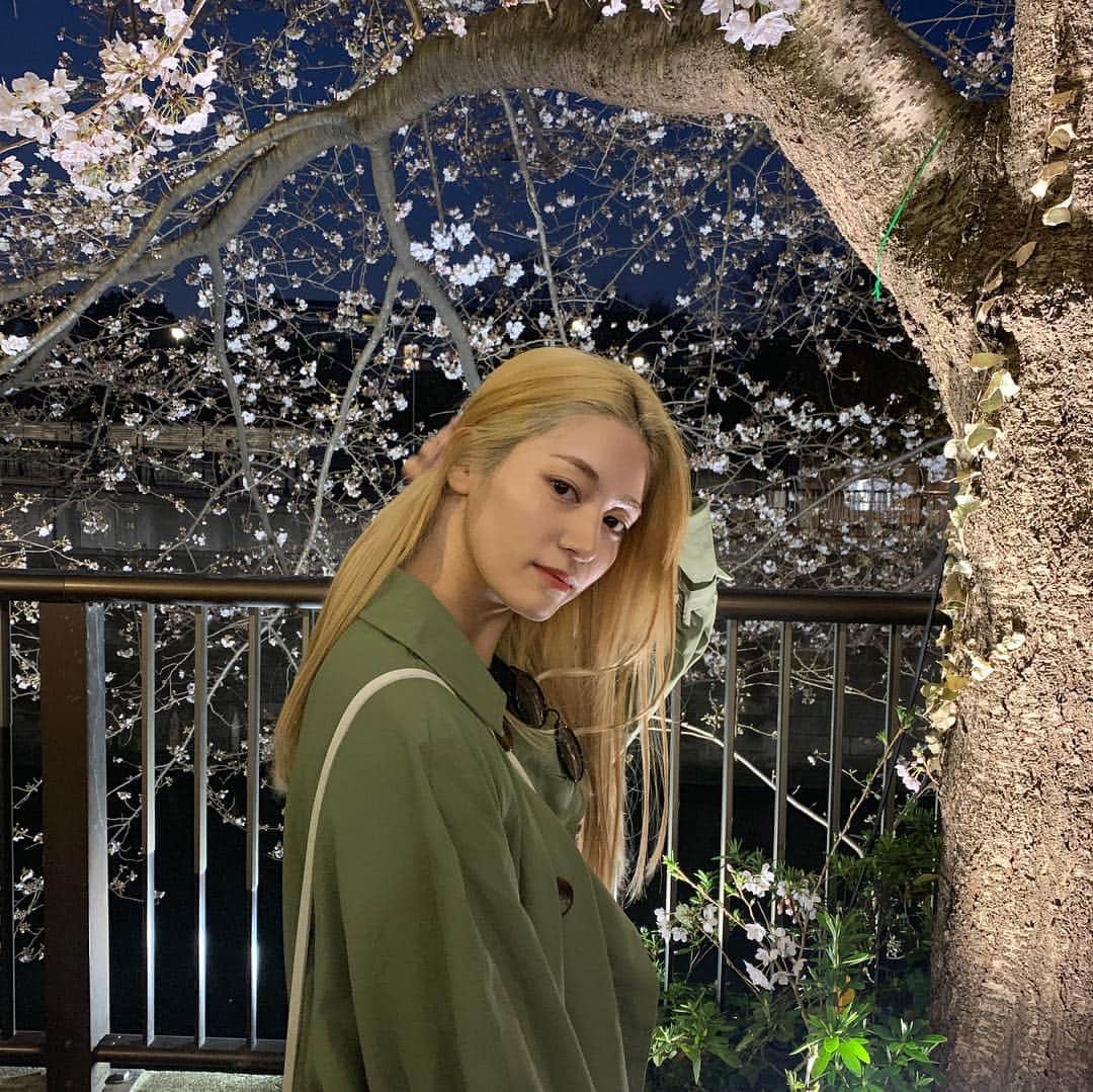 楓さんのインスタグラム写真 - (楓Instagram)「昨日見た桜パワーで 今日も頑張ろう🌙」3月27日 12時08分 - kaede_