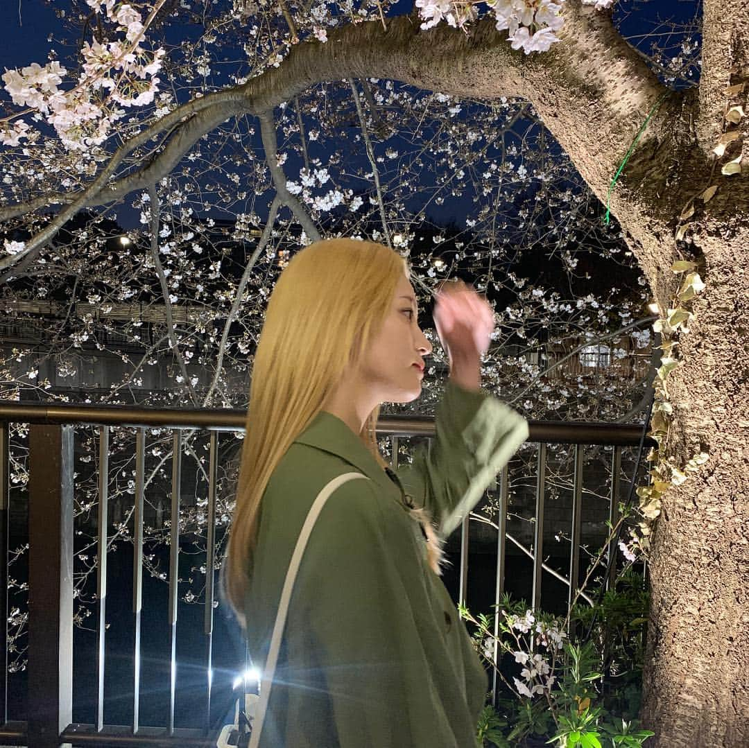 楓さんのインスタグラム写真 - (楓Instagram)「昨日見た桜パワーで 今日も頑張ろう🌙」3月27日 12時08分 - kaede_