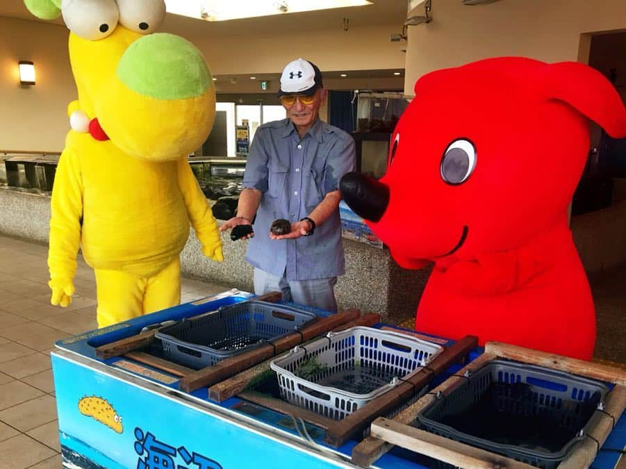 チーバくんさんのインスタグラム写真 - (チーバくんInstagram)「ギョギョギョ〜🐡🐠🐟 #ダッペエ  #さかなクン  #すギョい ！ #ギョボットくん  #カサゴくんと似てる ？ #何匹いるかな  #タッチプール  #いけちゃん  #チーバくん  #chibakun  #千葉県  #chiba  #館山市  #渚の駅たてやま  #さかなクンギャラリー  #海辺の広場」3月27日 12時09分 - chibakun0111