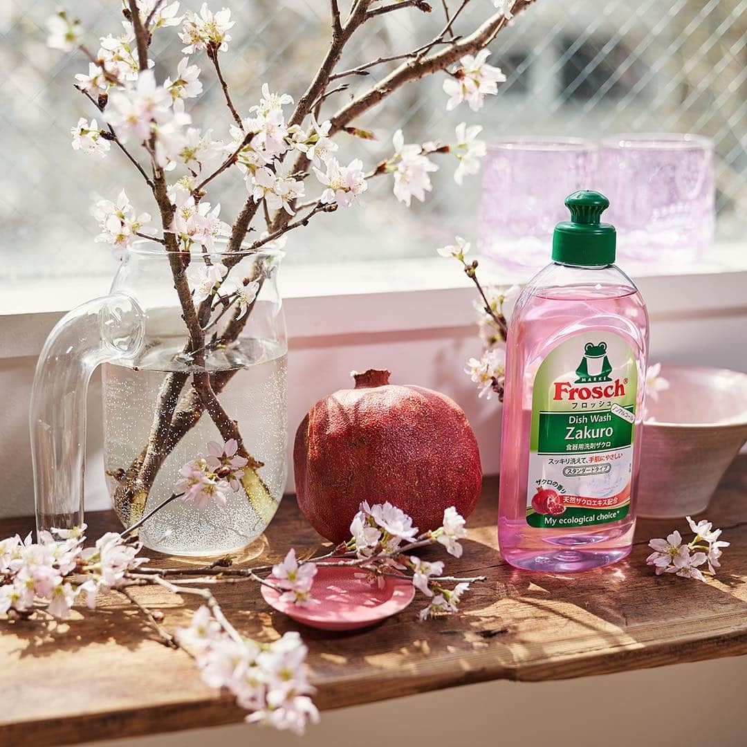 Frosch（フロッシュ）さんのインスタグラム写真 - (Frosch（フロッシュ）Instagram)「今日、3月27日はさくらの日。暖かい日が続き、早いところではさっそく桜が咲き始めましたね。ピンク色のフロッシュ食器用洗剤ザクロなら、キッチンまで桜色です。 ＊ #桜 #さくらの日 #花のある暮らし #春 #iittala #ピンク #食器用洗剤 #ザクロ #手肌にやさしい #フロッシュのある暮らし #フロッシュ #Frosch」3月27日 12時28分 - frosch.jp