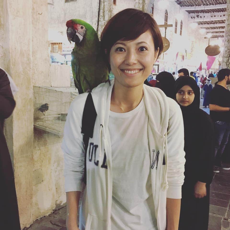 梅田陽子さんのインスタグラム写真 - (梅田陽子Instagram)「parrot with me  #思い出#スーク#スークワキフ#ドーハ#カタール#souk #soukwaqif #オウム#parrot #doha#qatar_photo #qatarlife #qatar」3月27日 12時30分 - yokoumeda