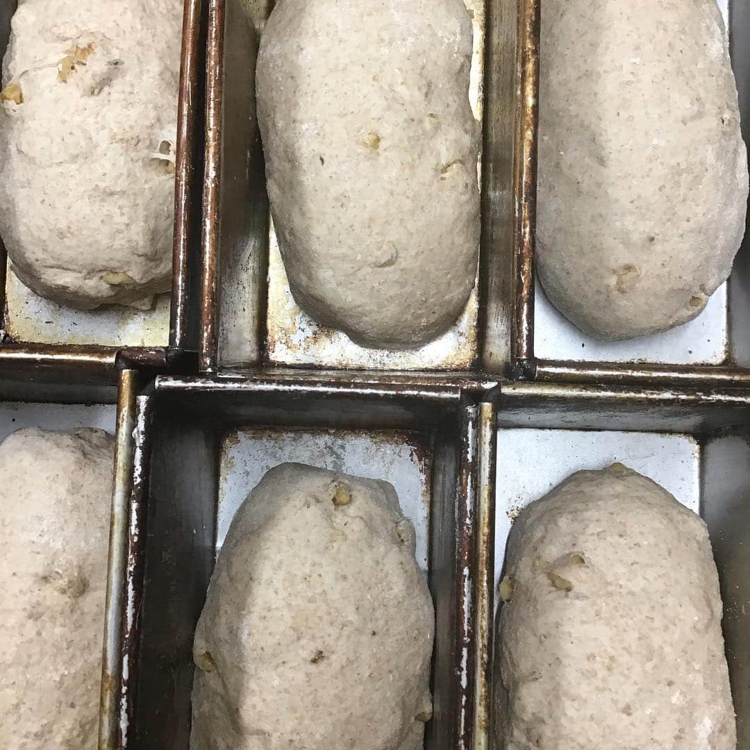 魔女菅原さんのインスタグラム写真 - (魔女菅原Instagram)「コンプレノア✨  南部小麦全粒粉と胡桃の全粒粉パンです。  コンプレ＝コンプリート 小麦をまるごと挽いた全粒粉のこと ノア＝クルミ たべやすくて美味しい全粒粉パンです  #自家製天然酵母のパン屋さんカンパーニュ  #コンプレノア #全粒粉のパン #自家製天然酵母のパン屋さんカンパーニュ  #魔女菅原」3月27日 12時35分 - hatsuyosugawara