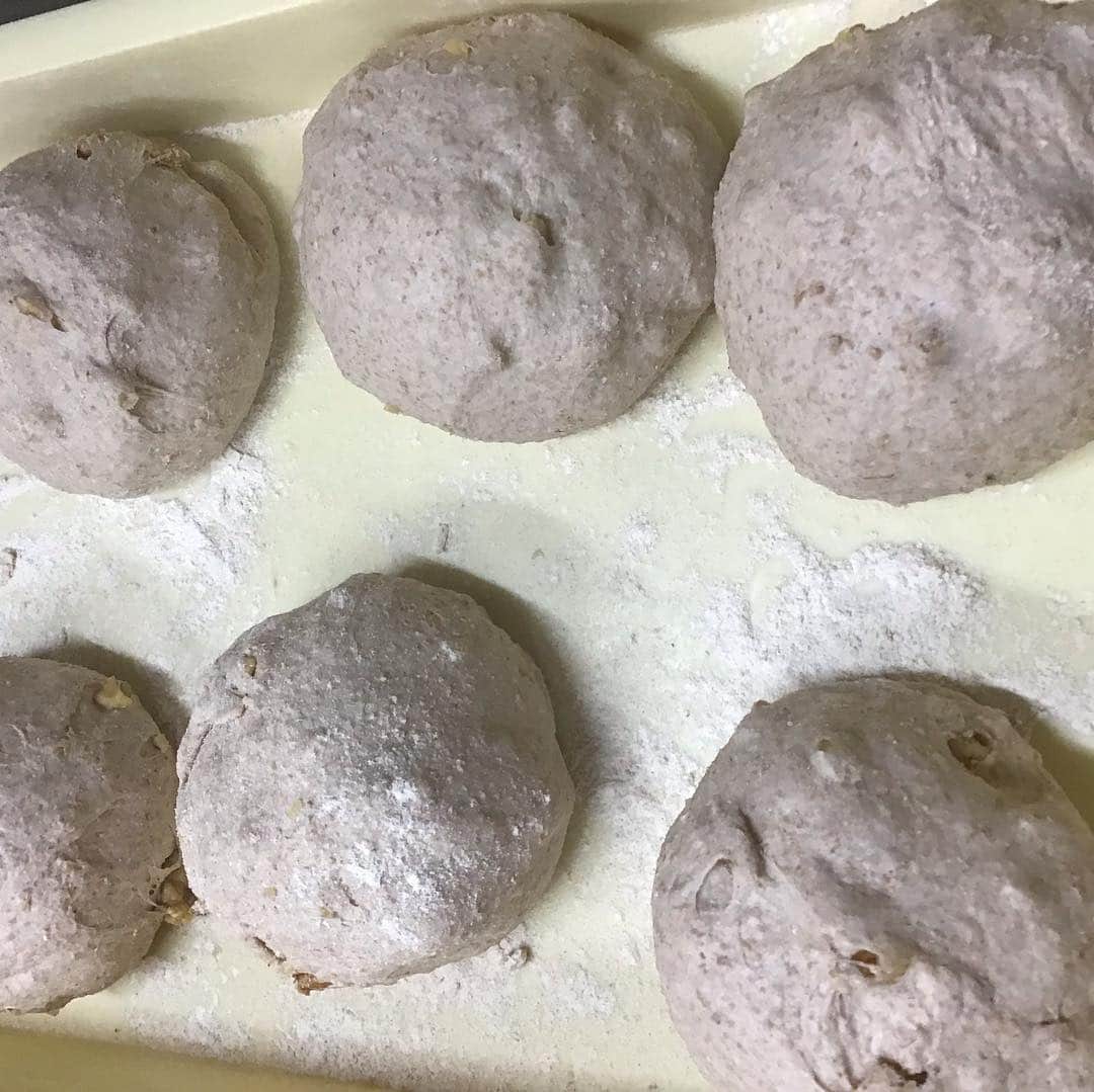 魔女菅原さんのインスタグラム写真 - (魔女菅原Instagram)「コンプレノア✨  南部小麦全粒粉と胡桃の全粒粉パンです。  コンプレ＝コンプリート 小麦をまるごと挽いた全粒粉のこと ノア＝クルミ たべやすくて美味しい全粒粉パンです  #自家製天然酵母のパン屋さんカンパーニュ  #コンプレノア #全粒粉のパン #自家製天然酵母のパン屋さんカンパーニュ  #魔女菅原」3月27日 12時35分 - hatsuyosugawara