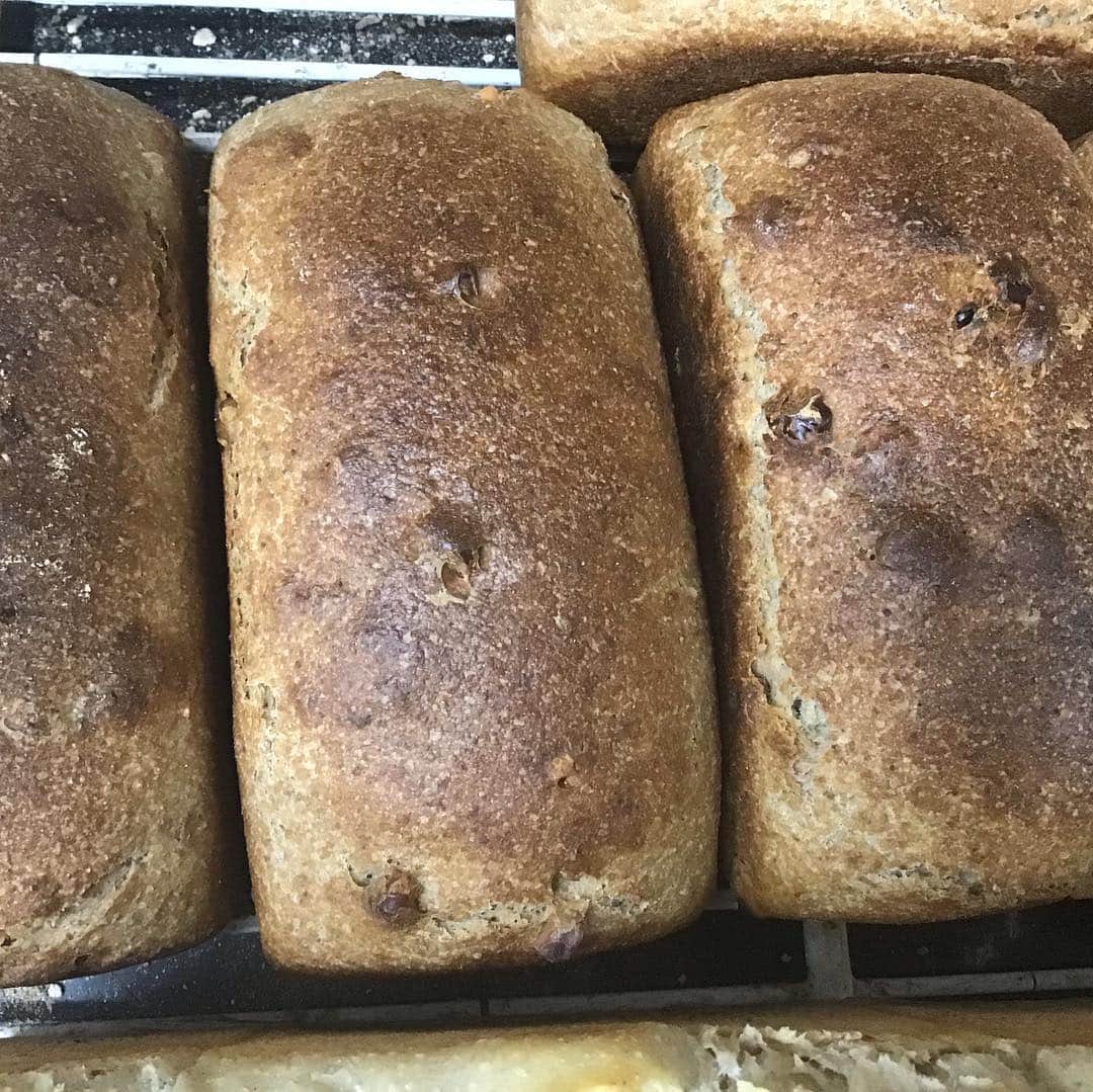 魔女菅原のグルメインスタ