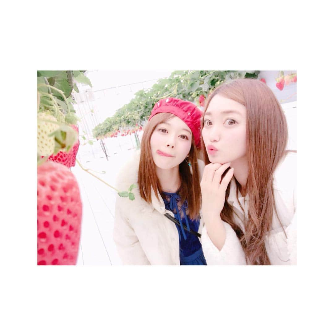 潮田ひかるさんのインスタグラム写真 - (潮田ひかるInstagram)「大好きなゆんちゃんと大好きな苺！！！ #ヒロファーム #🍓 #春 #いちご狩り #love #me #yum #yummy #fruit #strawberry #tagsforlikes #tags4likes #follow #followme #instagood #アイドル #japaneseidol #春日部 #딸기 #팔로우 #셀카 #selfie #일상 #kiss #ぺこ #舌 #ぺこちゃん」3月27日 12時38分 - shiotahikaru