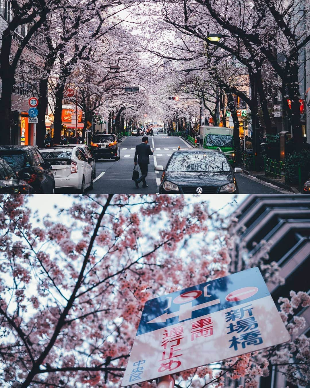 Takashi Yasuiさんのインスタグラム写真 - (Takashi YasuiInstagram)「🌸 in full bloom at Tokyo!!!」3月27日 22時07分 - _tuck4