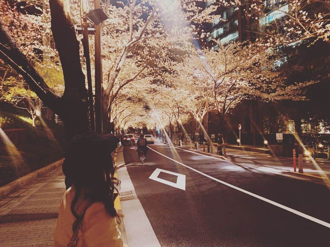 秋山ゆずきのインスタグラム：「. . #さくら」