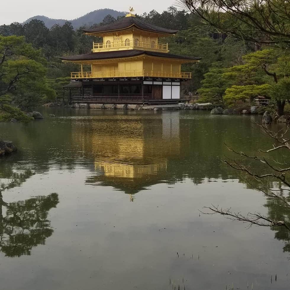 ミハル・ブジェジナさんのインスタグラム写真 - (ミハル・ブジェジナInstagram)「Amazing day trip to Kyoto with my better half @d_montalbano couldnt ask for a better finish to our vacation in Japan #japan  #kyoto #history #sightseeing #michalbrezina #danimontalbano #vacation #beautiful」3月27日 22時18分 - mick_brezina