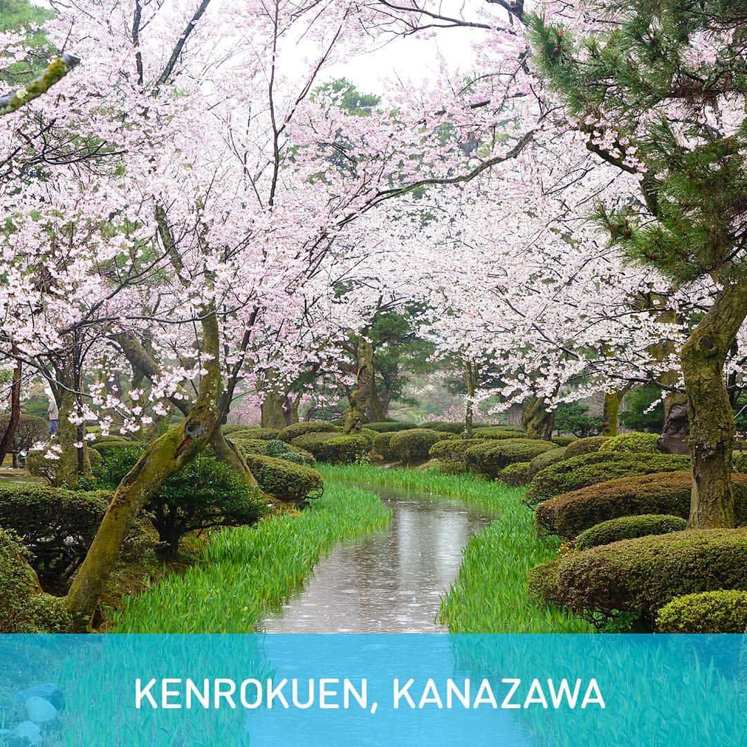 All Nippon Airwaysさんのインスタグラム写真 - (All Nippon AirwaysInstagram)「In English, we don’t have a word that means “hanging out and eating beneath trees”. In Japan it’s called #hanami, and April is the peak time for it. Check out our top 5 spots 🌸」3月27日 22時10分 - allnipponairways