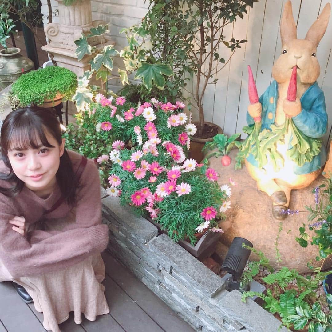 奥仲麻琴さんのインスタグラム写真 - (奥仲麻琴Instagram)「ちょっと前に行った ピーターラビットカフェ🐇☕️ すごく可愛かったからもっかい行きたいな。」3月27日 22時45分 - okunaka_makoto