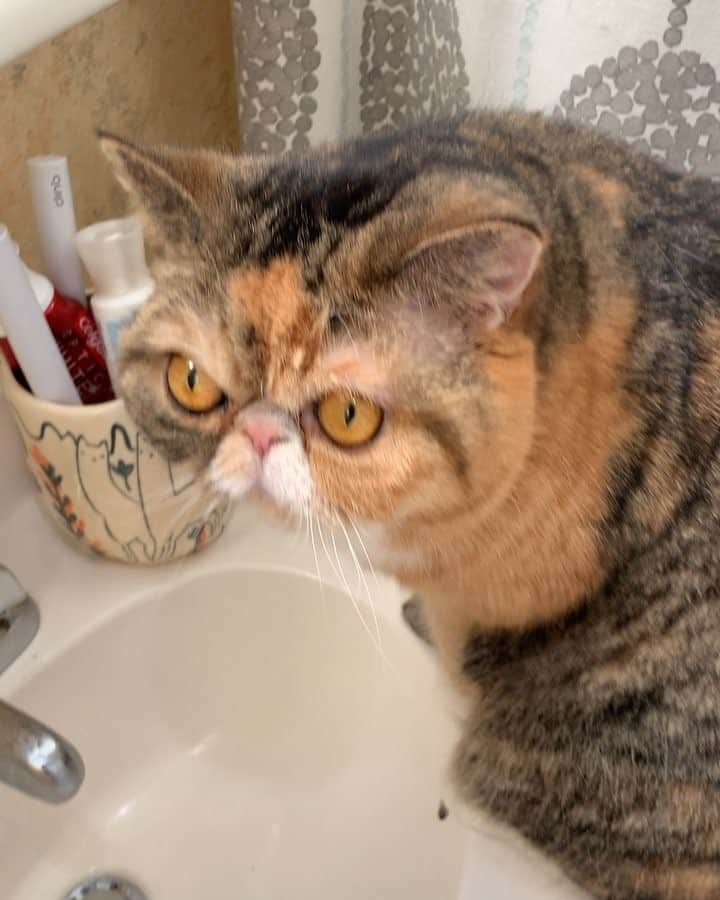 Tinaのインスタグラム：「Diva status」