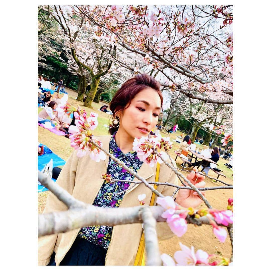 小林由佳さんのインスタグラム写真 - (小林由佳Instagram)「Last Hanging around in TOKYO🌸 before start 2019 WC season. ・ ・ 久しぶりの東京ぷらりデー☀︎¨̮ 兼、リミット解除デーということで食べ飲み道楽!➰🙌🏻 張り切ってタピオカ5杯を目標に出かけたけど3杯でギブでした🙅🏻‍♀️🌸 おそるべしタピオカの威力。 結局最後はビールに逃げる🍻〆 ・ ・ #ハットグってのが流行ってるらしい #モッツァレラが伸びるやつ #みんな知ってた？ #あたしはハッとしてグッとしてしか知らなかった #食べすぎ飲み過ぎ #腹ごなしに側転🤸‍♀️ #代々木公園お花見はんぱない🌸 #3ヶ月遅れの誕生日プレゼント #おっせ」3月27日 22時54分 - yuca_tan