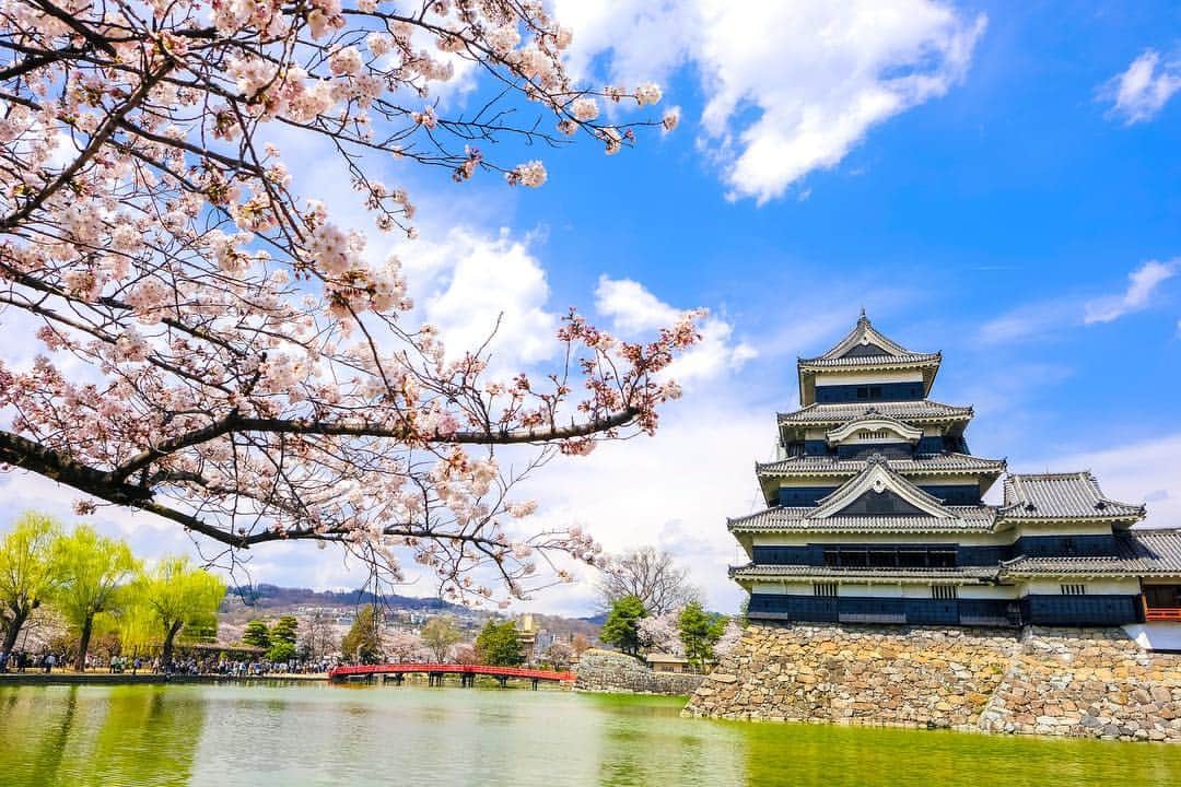 THE GATEさんのインスタグラム写真 - (THE GATEInstagram)「【Follow us! @thegate_japan】 THE GATE is a website for all journeys in Japan. Follow @thegate_japan for japan travel inspiration! . Matsumoto Castle(#松本城) in #Nagano prefecture(#長野) is one of the oldest remaining castles in japan🌸🏯 ✨ . The castle keep is a six-story structure, although it looks like it is only five stories from the outside. . The castle is unique in that it has buildings from both Japan’s feudal days (1467 – 1590) and from the Edo period (1603 – 1867). . . . . Check more information about Japan. →@thegate_japan . #Japan  #thegate_japan #travel #exploring #thegate #thegate_spring #visitjapan #sightseeing #ilovejapan #triptojapan #beautifulflowers #flowers #gardens #nature #beautifulnature #spring #springseason #cherryblossom #cherryblossoms #matsumoto #matsumotocastle」3月27日 23時08分 - thegate_travel