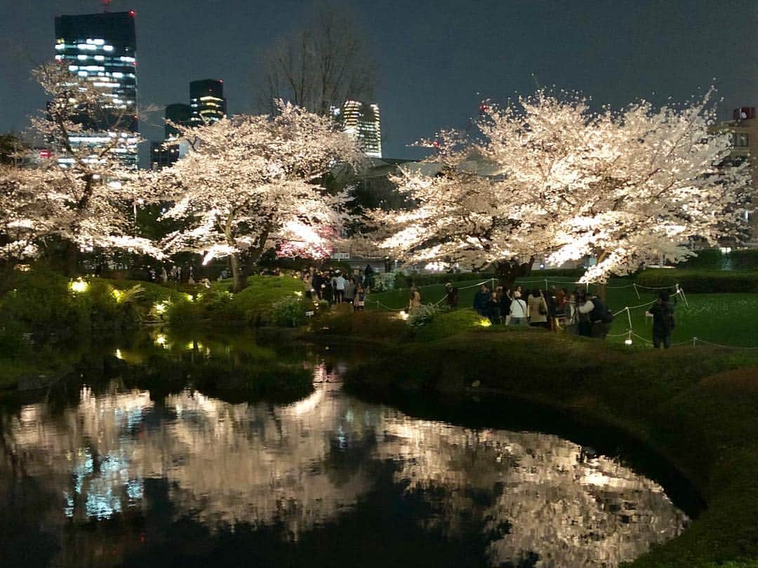 今村涼子さんのインスタグラム写真 - (今村涼子Instagram)「#夜桜#毛利庭園#東京ミッドタウン 東京ミッドタウンは、5分咲きくらいだと思いますが、ライトアップされると十分に綺麗です。」3月27日 23時14分 - ryoko.imamu