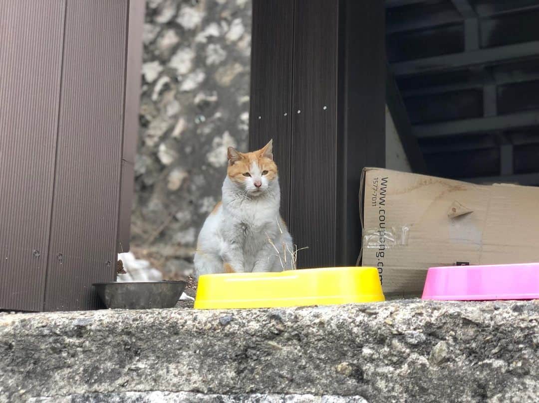 ソジン さんのインスタグラム写真 - (ソジン Instagram)「후암동 탐험」3月27日 23時23分 - ssozi_sojin