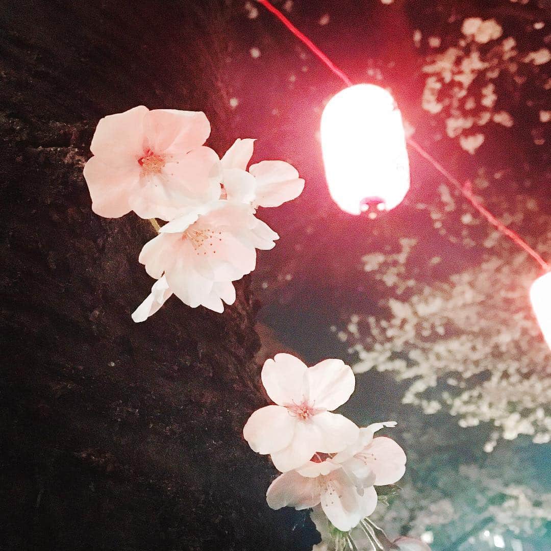植原みゆきさんのインスタグラム写真 - (植原みゆきInstagram)「帰り道の夜桜でお花見🌸 #お花見 #夜桜」3月27日 23時26分 - myumyu_uehara