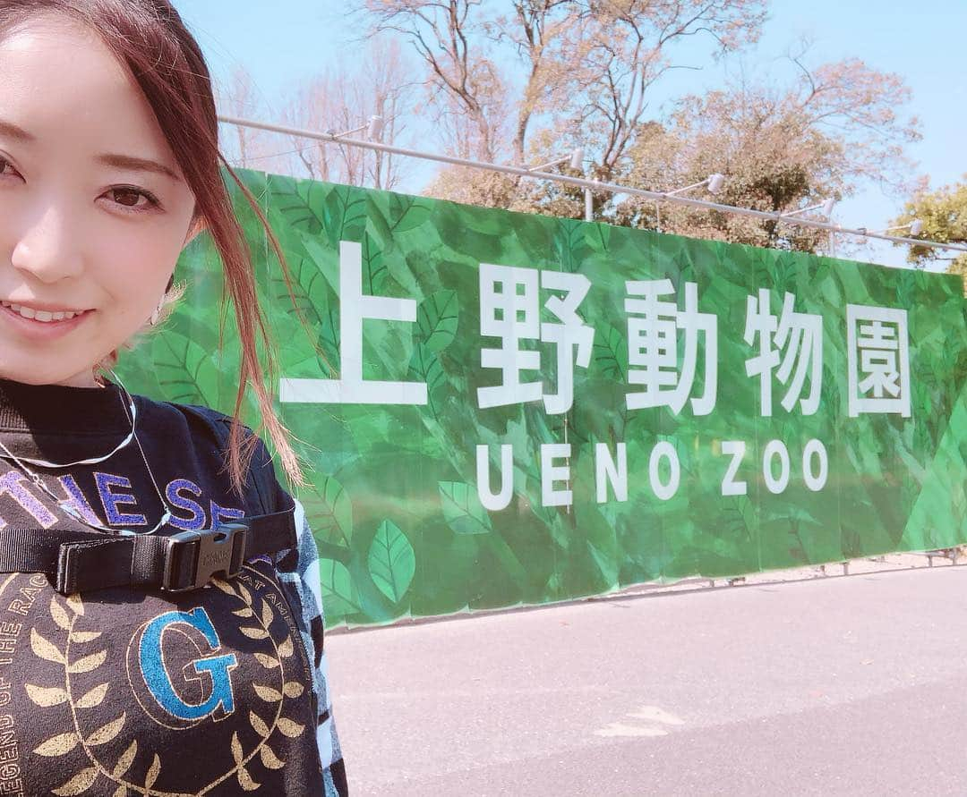 上村知世さんのインスタグラム写真 - (上村知世Instagram)「バースデー記念で上野動物園へ🐘🦓🦁🦒 念願の生シャンシャン、リーリー、シンシン🐼に会えました❤️ #上野動物園 #シャンシャン #シンシン #リーリー #バースデー #小さな彼氏 #6歳 #桜も見頃」3月27日 14時32分 - tomose0207