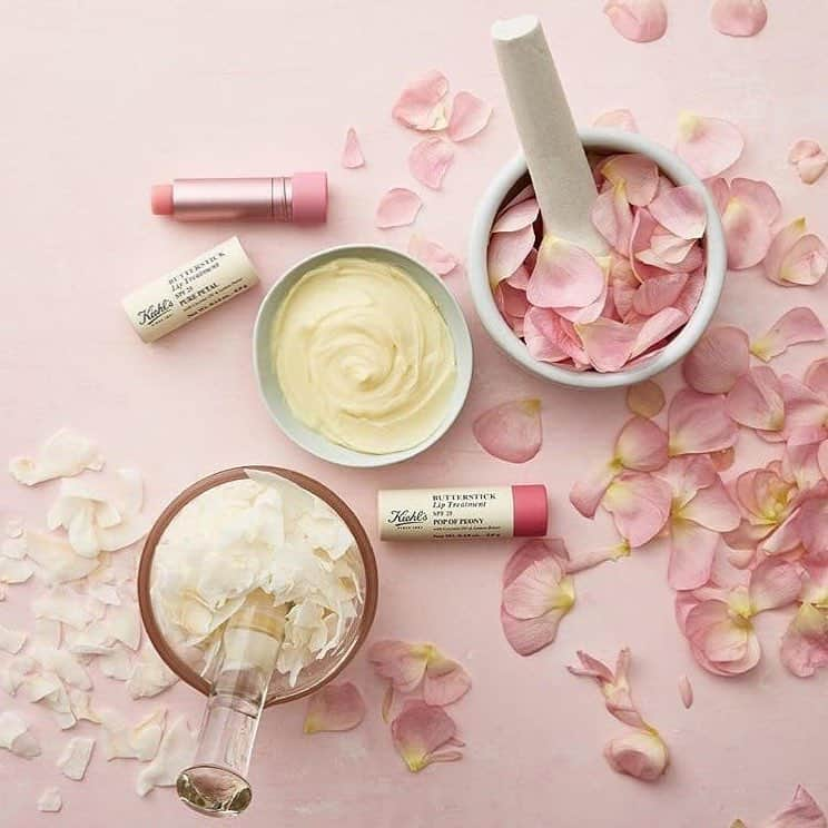 キールズ Kiehl's Japanさんのインスタグラム写真 - (キールズ Kiehl's JapanInstagram)「本日3月27日は #さくらの日⁠ 🌸⁠ 新学期・新生活は、本来の唇の色となじみ、血色感を演出するリップ トリートメントで気分をあげてみてはいかが⁉️ @kiehlsjp  #キールズ #血色リップ #スキンケア #キールズ #リップトリートメント #リップスティック #バタースティック #スキンケア #ニューヨーク発 #ニューヨーク #Kiehls #Skincare #NewYork」3月27日 14時36分 - kiehlsjp