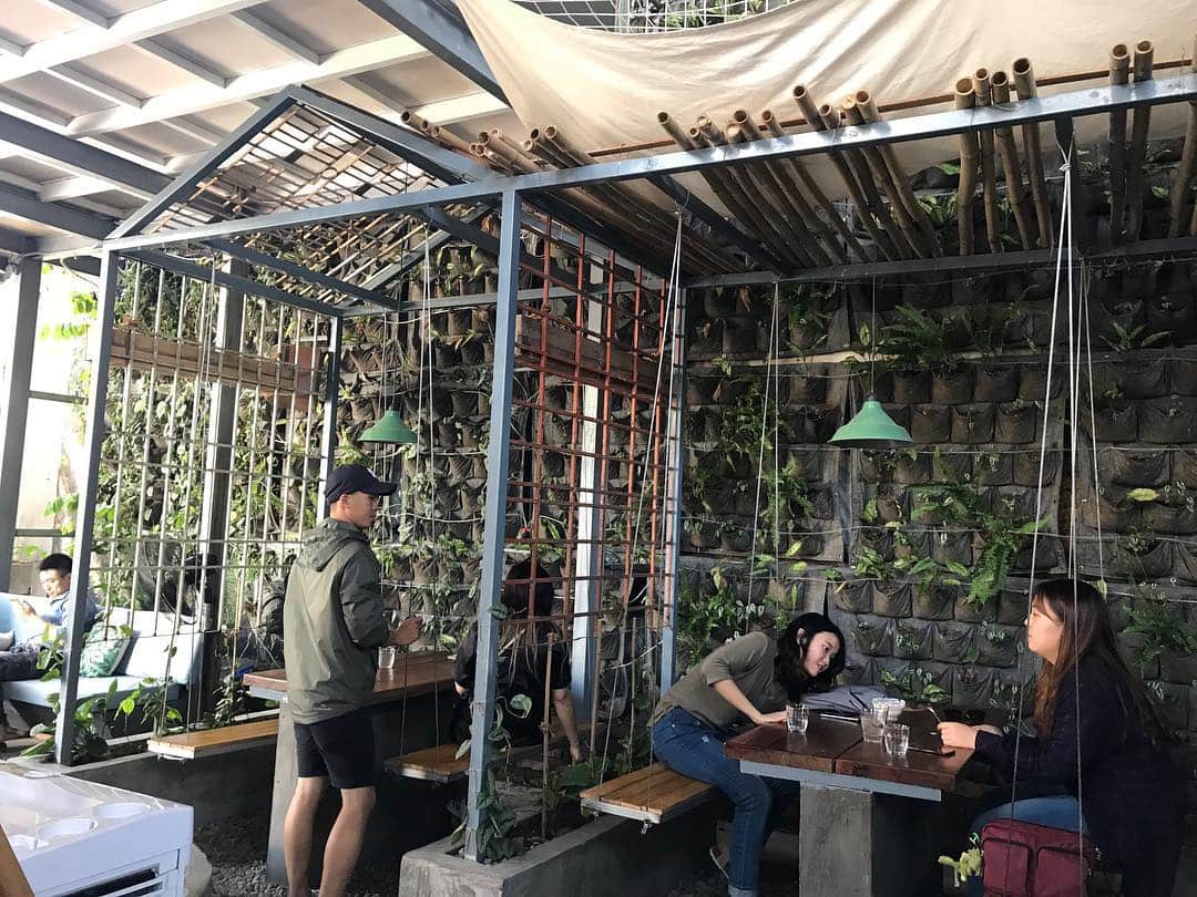 Nagisa 나기사さんのインスタグラム写真 - (Nagisa 나기사Instagram)「🇻🇳1802ベトナムtrip🇻🇳﻿ ﻿ 現在地Mexico🇲🇽Tripはストーリーにて﻿﻿ ﻿﻿ ﻿ お昼はツリーハウスのような開放感あふれるおしゃれカフェで、生春巻きとチャーハンを。﻿ 雰囲気も味も◎﻿ 春巻きもチャーハンも250円くらいと日本では考えられない！！﻿ ﻿ ﻿ ﻿ ﻿﻿﻿﻿﻿﻿﻿ #海外生活 #外国生活 #ベトナム旅行 #sagojoinsta #retrip_vietnam #retrip #タビジョ #旅行好きな人と繋がりたい #女子旅 #世界一周 #Vietnam #jtbで旅したい #タビジェニ #anaタビキブン﻿ #タビジェニアンバサダー  #stayway女子旅」3月27日 14時56分 - nagisa0713