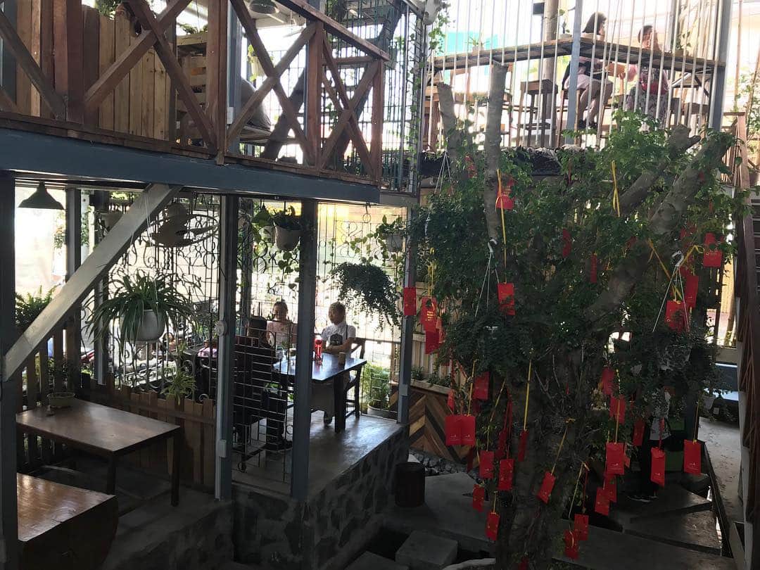 Nagisa 나기사さんのインスタグラム写真 - (Nagisa 나기사Instagram)「🇻🇳1802ベトナムtrip🇻🇳﻿ ﻿ 現在地Mexico🇲🇽Tripはストーリーにて﻿﻿ ﻿﻿ ﻿ お昼はツリーハウスのような開放感あふれるおしゃれカフェで、生春巻きとチャーハンを。﻿ 雰囲気も味も◎﻿ 春巻きもチャーハンも250円くらいと日本では考えられない！！﻿ ﻿ ﻿ ﻿ ﻿﻿﻿﻿﻿﻿﻿ #海外生活 #外国生活 #ベトナム旅行 #sagojoinsta #retrip_vietnam #retrip #タビジョ #旅行好きな人と繋がりたい #女子旅 #世界一周 #Vietnam #jtbで旅したい #タビジェニ #anaタビキブン﻿ #タビジェニアンバサダー  #stayway女子旅」3月27日 14時56分 - nagisa0713