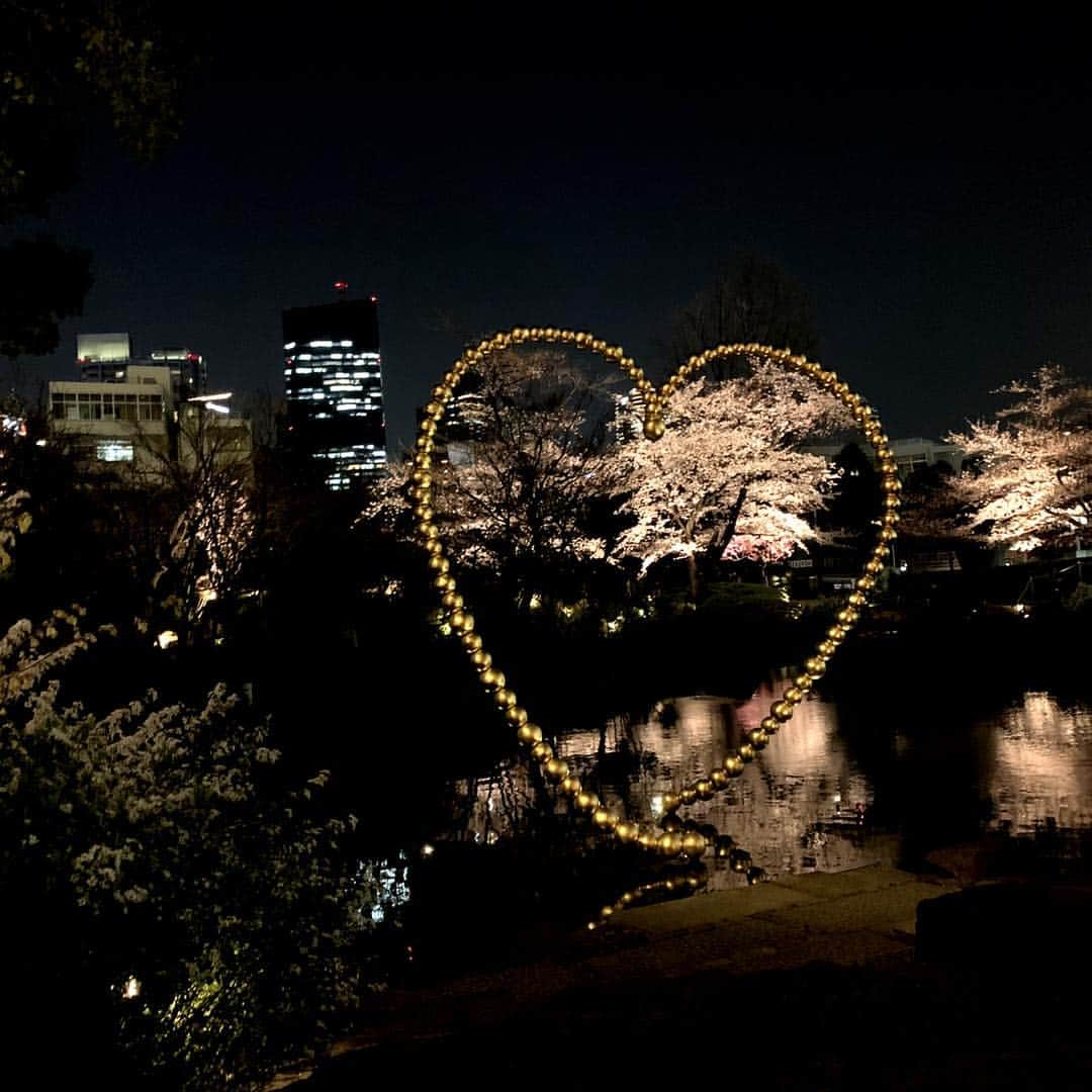 榎本温子さんのインスタグラム写真 - (榎本温子Instagram)「#夜桜 #🌸 #桜 #cherryblossom #instapic #六本木 #roppongi」3月27日 14時56分 - atsuko_bewe