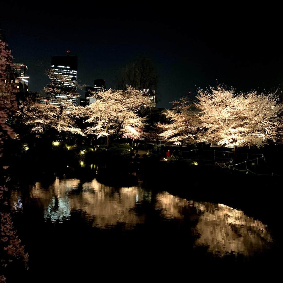 榎本温子さんのインスタグラム写真 - (榎本温子Instagram)「#夜桜 #🌸 #桜 #cherryblossom #instapic #六本木 #roppongi」3月27日 14時56分 - atsuko_bewe