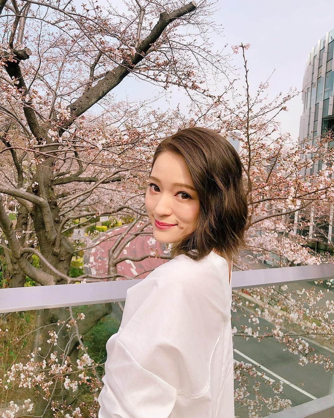 chayさんのインスタグラム写真 - (chayInstagram)「🌸🌸🌸 #桜 #cherryblossom  #東京ミッドタウン  #midtown」3月27日 15時14分 - chay1023_official