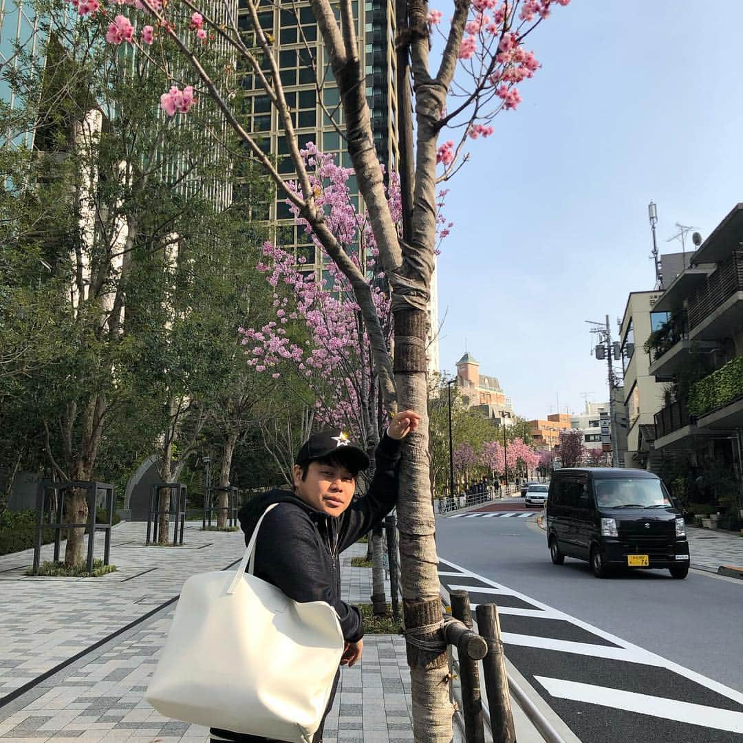 井上裕介さんのインスタグラム写真 - (井上裕介Instagram)「桜の季節到来。 新しくゲットしたカバンと一緒に新生活感を演出。 春は出会いの季節。 頑張らないとな。  #NONSTYLE #nonstyle #井上 #白 #カバン #相方カラー #ウフフ」3月27日 15時47分 - nonyusuke