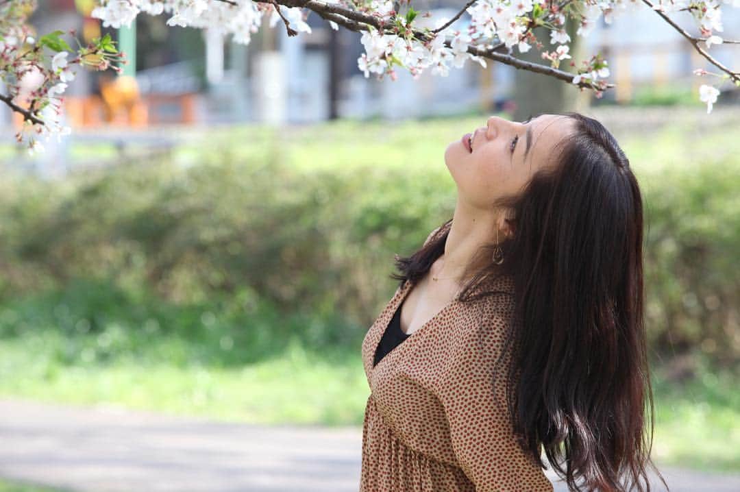 朝岡実嶺さんのインスタグラム写真 - (朝岡実嶺Instagram)「3月27日は桜の日という事で、数年前に井の頭公園で撮ってもらった桜ショット😊🌸 March 27 is the day of cherry blossoms, so I’ll post these photos taken at Inogashira Park several years ago😊🌸 #桜の日 #井の頭公園 #cherryblossom #thedayofcherryblossoms #inogashirapark」3月27日 15時56分 - mirei_asaoka