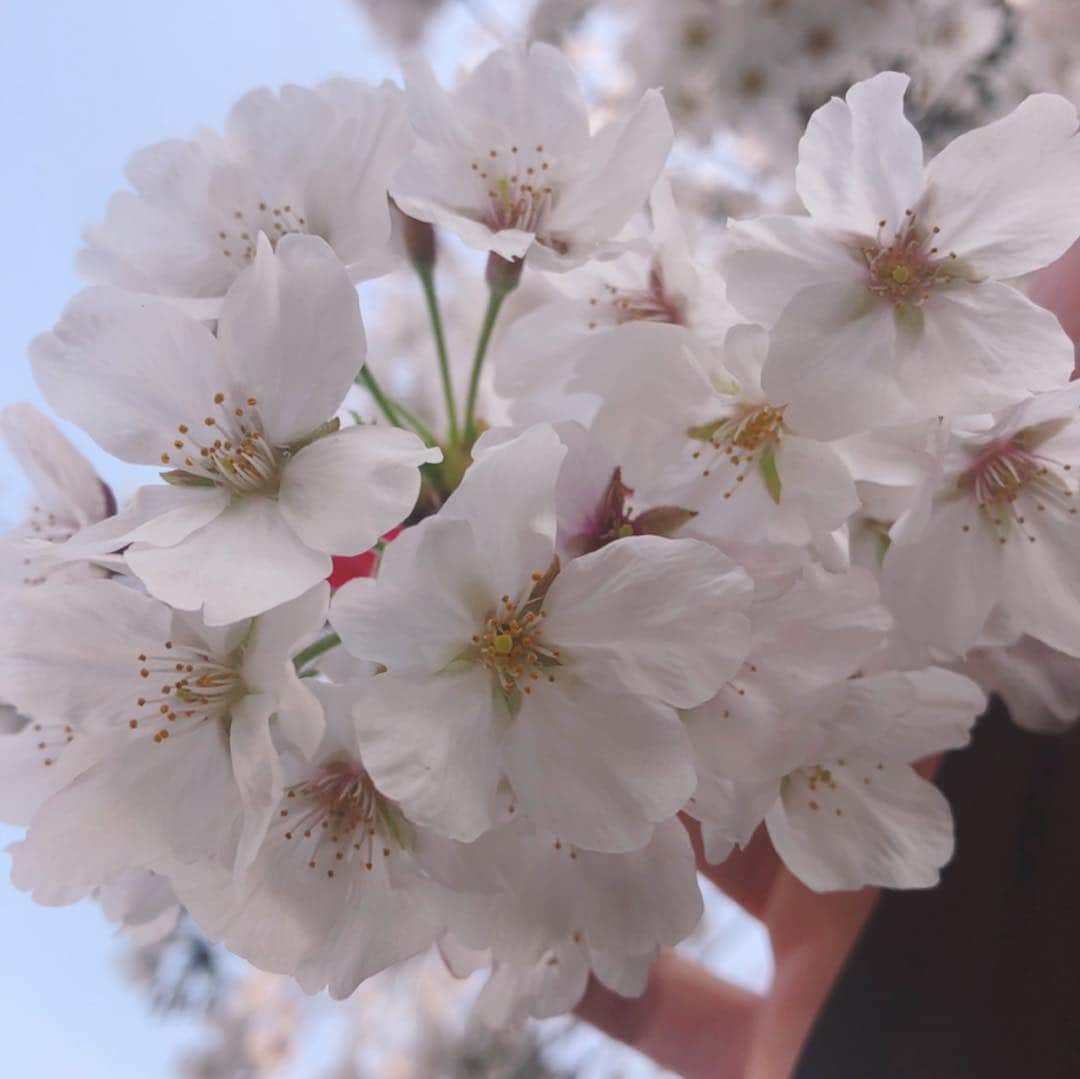 カイヤのインスタグラム