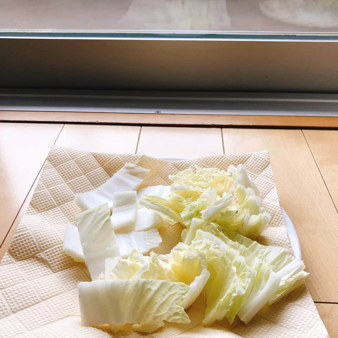 リクルートさんのインスタグラム写真 - (リクルートInstagram)「【ラクチンだけど栄養満点！野菜の簡単レシピ】働きながら育児をするお父さん、お母さん、いつもお疲れ様です。﻿ 野菜ソムリエSANAです。﻿ お鍋無しで完成しちゃう“ワンタッパレシピ”！﻿ 食材の全てを１個のタッパに入れて、﻿ 電子レンジ加熱するだけ！あっという間に完成の、﻿ 美味しいレシピをご紹介します♪﻿ ﻿ ◆ワンタッパレシピ◆﻿ 【白菜と豚肉のオイスター煮込み】﻿ 風邪・花粉症に効果的と言われるビタミンD。﻿ 紫外線を浴びることで生成されるため、﻿ 美白重視の現代人は不足しがちです。﻿ 「でも日焼けは嫌！」という方は﻿ 野菜を干してから食べましょう♪﻿ ベランダや窓際に干しておくだけで、﻿ ビタミンDがUPし、甘味も強くなりますよ！﻿ 干し白菜＆しらたきのボリュームレシピをぜひ作ってみてください！ ﻿ ﻿ <材料（1人分）>﻿ 豚ひきにく…50g﻿ しらたき…50g﻿ 白菜…1枚50g﻿ えのき…20g﻿ ニンジン…10g﻿ 【合わせ調味料】﻿ オイスターソース…大さじ1﻿ 醤油…小さじ1﻿ ごま油…小さじ1﻿ にんにくみじん切り…小さじ1/2﻿ しょうがみじん切り…小さじ1/2﻿ ﻿ ①　白菜は2cm角に切り、2～8時間干す﻿ ②　ニンジンは細切り、しらたき・えのきは3cm長さに切る﻿ ③　タッパに合わせ調味料と豚ひき肉を入れてまぜ、その上に①②をのせる﻿ ④　フタをして、電子レンジ600w　約3分加熱する﻿ ﻿ ★白菜を干さない場合は、白菜の量を半分にしてください﻿ ★白菜を炒めると水分が出るため調味料を多く使いがちですが、干すことにより少ない調味料で美味しく仕上がります﻿ ★電子レンジ使用可のタッパをご利用ください。﻿ ﻿ その他のリクルートの投稿はこちら👉 @recruit___official ﻿ ﻿ #iction!﻿ #RECRUIT﻿ －﻿ #クッキングラマー #手作りごはん  #作り置きおかず #今日の夕飯 #ワーキングマザー #豚肉 #ごはん会 #献立メモ #晩ごはん #夕飯 #今日のご飯 #簡単ごはん #子育て #つくりおき #クッキング #ワーママ #豊かな食卓 #料理男子 #しらたき #ダイエット #やせるおかず #干し野菜 #予防 #白菜 #豚肉 #にんじん #えのき #花粉症」3月27日 16時48分 - recruit___official