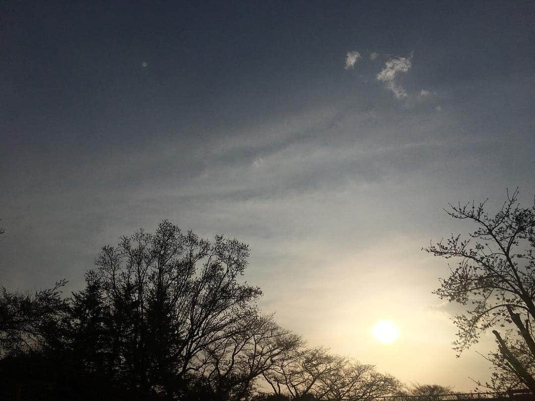 矢井田瞳さんのインスタグラム写真 - (矢井田瞳Instagram)「夕陽が綺麗です。」3月27日 16時51分 - hitomi_yaida
