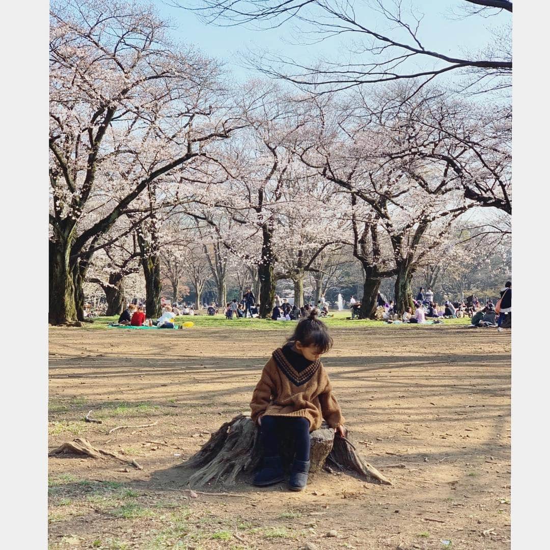 中村明花さんのインスタグラム写真 - (中村明花Instagram)「. 愛する同期と代々木公園へ🌸 ポカポカ陽気でまーったりした時間♡はぁ幸せだなぁ☺️ 昔は夏が好きだったけど、今は春が1番好き☘️ . . #桜 #いい季節 #赤ちゃんがいるだけで癒される空間」3月27日 17時03分 - sayaka_nakamura3