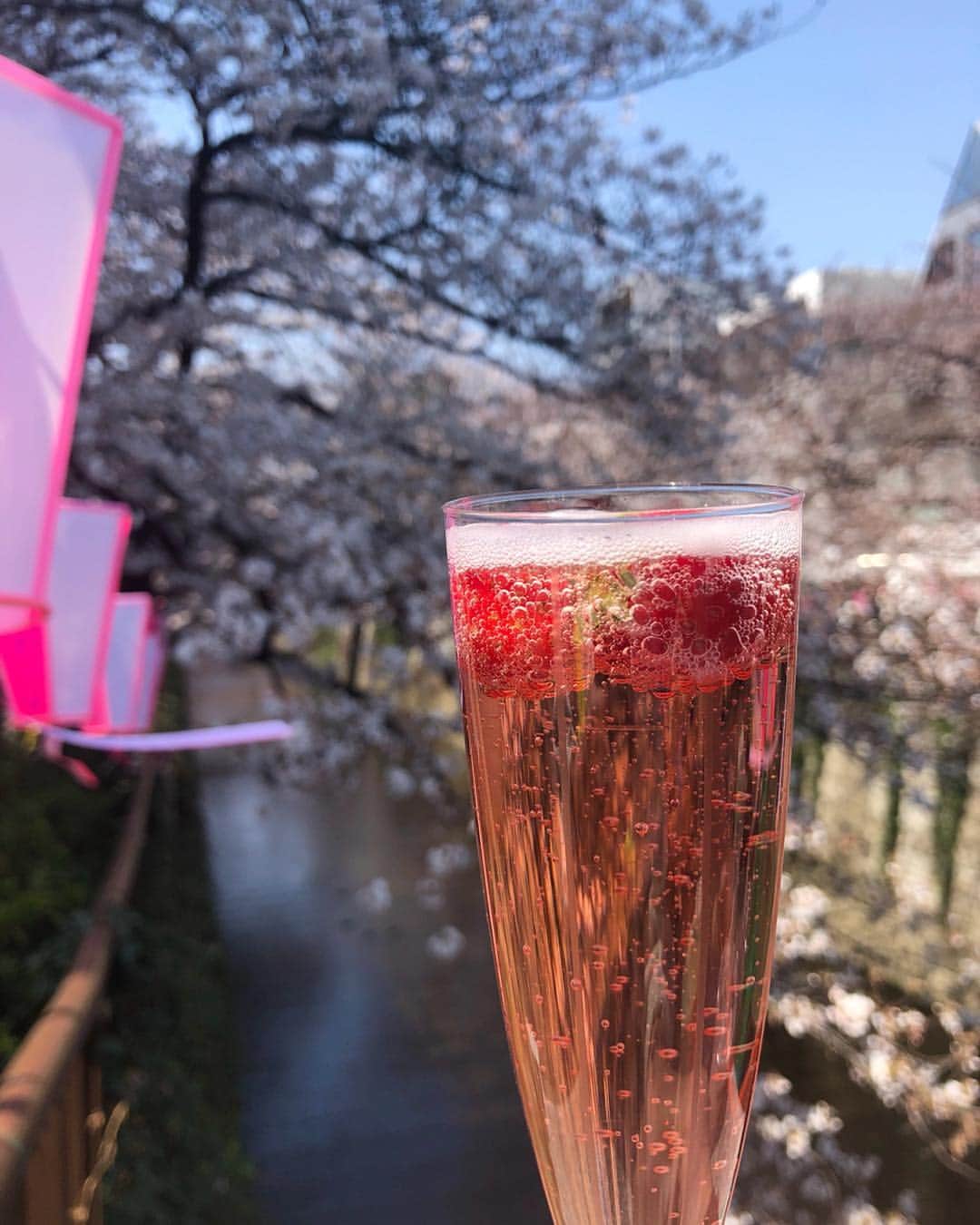 山田佳子さんのインスタグラム写真 - (山田佳子Instagram)「目黒川の﻿桜がとっても綺麗〜♪🌸﻿ ﻿ #さくら🌸  #綺麗だった  #桜色に #染まる #目黒川 #よく晴れて﻿ #気持ちいいお天気﻿ #幸せな気分になれる #happy😊 #meguro_river ﻿」3月27日 17時12分 - yoshiko117