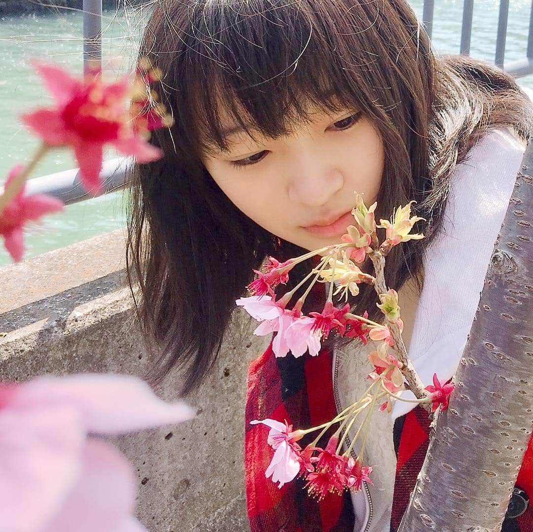 前野えまさんのインスタグラム写真 - (前野えまInstagram)「今日は桜の日🌸 春休みは桜を見たくてお散歩ばかりしています。  #桜の日  #さくらの日 #春休み  #春休みの過ごし方  #前野えま」3月27日 17時05分 - maeno_ema