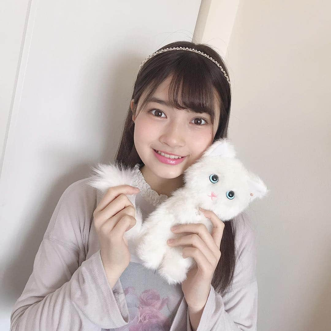 吉澤悠華さんのインスタグラム写真 - (吉澤悠華Instagram)「. かわいい白猫ポーチ ！ ♡^ ^  #白猫 #猫 #ポーチ #sugao #かわいい #可愛い #ljc #jc3 #15歳 #マジパン #マジカルパンチライン」3月27日 17時08分 - harurunfrog_78