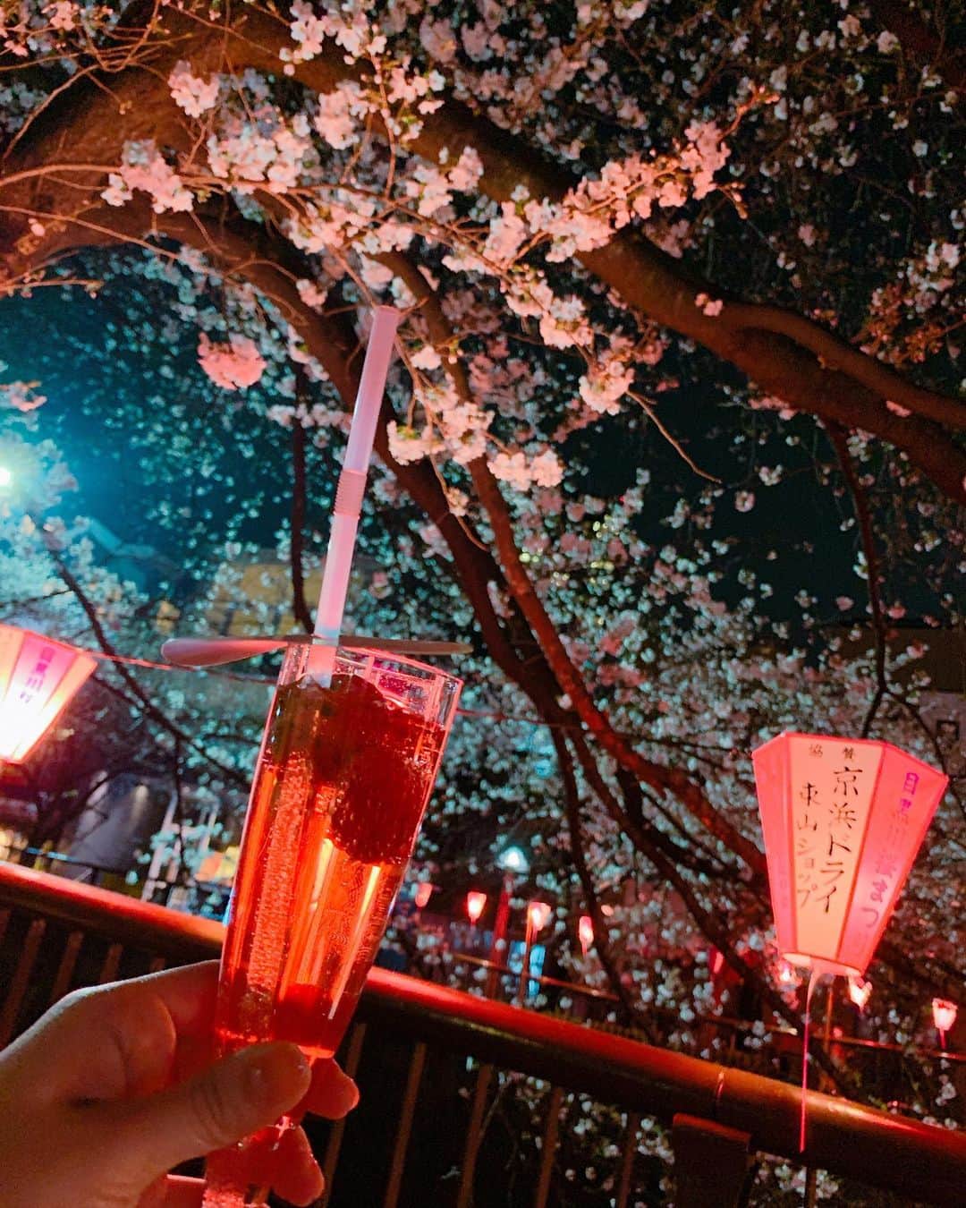 成瀬心美さんのインスタグラム写真 - (成瀬心美Instagram)「🌸 . . ぐふふ。 . . #sakura #hanami #桜 #japan #strawberry #いちご #sparkling」3月27日 17時13分 - coco3ndazo
