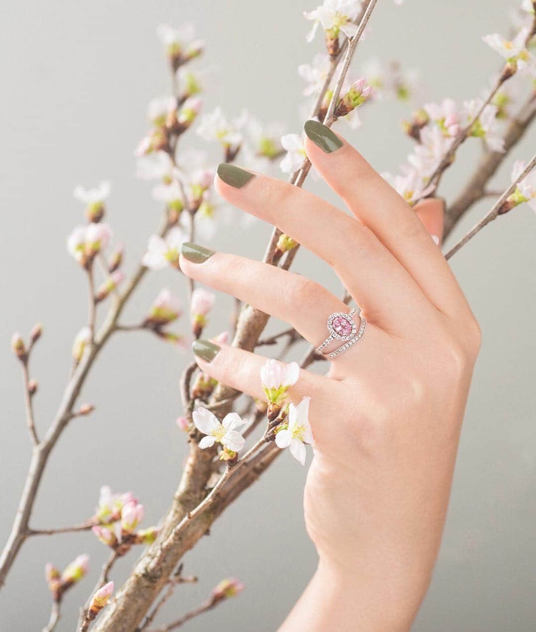 さんのインスタグラム写真 - (Instagram)「今日は #さくらの日 🌸 おかちまち本店ほど近く、上野公園の桜も今週末には見頃を迎えそうです。 ・ エンゲージ＝ダイヤモンドのイメージが強いですが、こんな可憐な桜色のサファイアをエンゲージに選ぶのも素敵。 ・ ガラOKACHIMACHI おかちまち本店 / ‪03-3836-3030‬ 銀座店 / ‪03-5537-0701‬ 新宿店 / ‪03-5919-7053‬ 横浜元町店 / ‪045-680-4410‬ 大阪本店 / ‪06-6281-0220‬ 梅田茶屋町店 / ‪06-6377-3300‬ 京都店 / ‪075-255-7888‬ 神戸店 / ‪078-321-7880‬ ・ #GALA #ガラ #婚約指輪 #結婚指輪 #ブライダルリング #エンゲージリング #マリッジリング #結婚準備 #婚約 #結婚 #ペアリング #プレ花嫁 #プレ花嫁とつながりたい #婚約指輪探し #桜  #alternativeengagementring #weddingring #madeinjapan」3月27日 17時14分 - gala_okachimachi