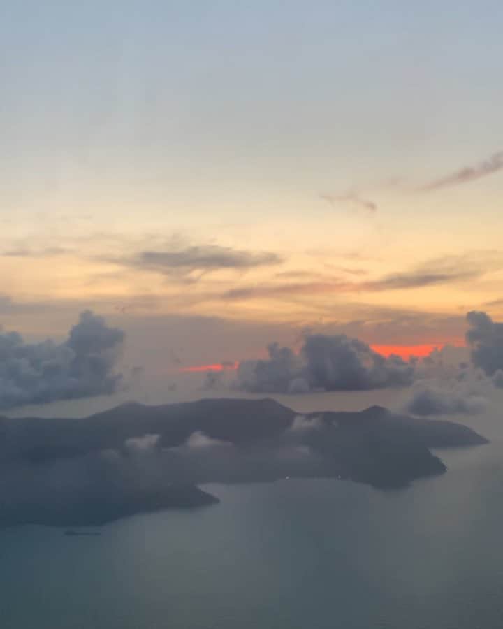 Amelia Zadroのインスタグラム：「Touching down at my new home 🌴👸🏻🌴」