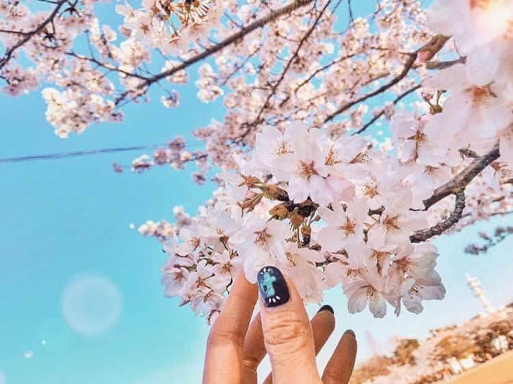 au公式Instagramアカウントのインスタグラム：「[#桜×#スマホジェニック]﻿ ﻿ 春の訪れを感じさせるこちらのお写真は @acham0217 さんの#スマホジェニック な1枚🌸﻿ 今回は【桜を見上げたかたちで撮影するテクニック】をご紹介します。﻿ ﻿ 撮影のポイントは「構図」と「木漏れ日」。﻿ ﻿ 見上げているようにみせるためには、画面いっぱいに桜を入れるのではなく、背景に空を大きく写りこませ、桜と空それぞれ半々の割合で下から撮影することが大切✨﻿ また、斜めに差し込む木漏れ日を写し込ませることによって、静止画からも春の暖かさが伝わる1枚になりますよ😊☀️﻿ ぜひこちらを参考にして、皆さんも#桜 の素敵な一枚を撮影してみてくださいね！﻿ ﻿ ﻿ photo by @acham0217」