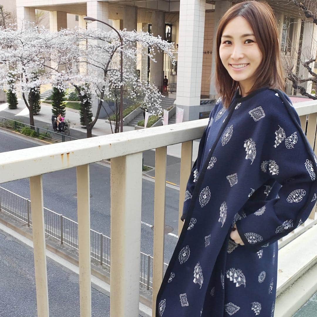 のインスタグラム：「前の投稿のコメント欄にも書きましたが、﻿ 返せないくらいのたくさんの﻿ メッセージ、ありがとうございました。﻿ ﻿ 私は妊活中、﻿ いろんな方の体験談に﻿ 励まされたので﻿ ﻿ （「うちも頑張ってます」﻿ と言われると心強かったし、﻿ ﻿ なかなか出来なくて﻿ 焦る気持ちや生理の度の﻿ がっかりをわかってもらえる﻿ だけで救われる気がしました）﻿ ﻿ 一人一人にメッセージで﻿ お礼を言うことはなかなか出来ませんが、﻿ ﻿ 「こんなことをやったよ」﻿ 「こんな言葉に励まされたよ」﻿ 「この時はこんな気持ちだったよ」﻿ ﻿ というのを、お返しのつもりで﻿ いろんな形の発信方法で﻿ 伝えられたら、と思っています。﻿ ﻿ 皆さんにとっても﻿ 良い春が来ますように。﻿ ﻿ 🌸🌸🌸﻿ ﻿ さっき、病院ついでに﻿ 旦那がお花見に連れて行ってくれました。﻿ ﻿ #お花見 #九段下 #🌸 #桜﻿ #春 #spring #andcurtaincall #ちゅうしみ #お花見2019 #oppor17pro #oppo」