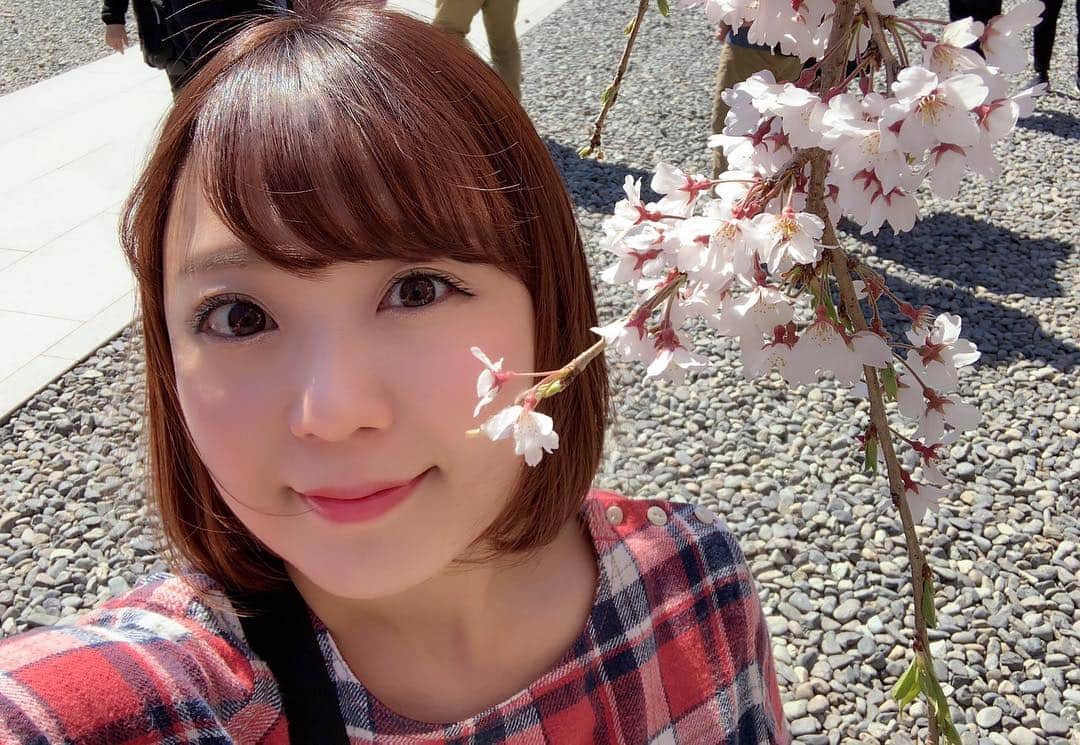 のインスタグラム：「今日は「さくらの日」でしたね〜🌸✨✨ピンク色で溢れる季節大好きです💓桜が満開の時に色々なパワースポットに行けたらいいなぁ😊🌸🌸🌸 #3月27日 #さくらの日 #さくら #桜 #sakura #cherryblossom #お花見 #富士山本宮浅間大社 #春 #spring #アラサー女子 #ショートボブ #BEAMS #BEAMSboy #photooftheday #JAPAN #japanesespring #japanesegirl #avex #avexmanagement #instagood #followme #ricashima #嶋梨夏」