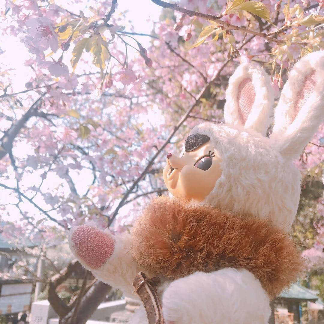 エチカのインスタグラム：「. はーるがきたっ♪はーるがきたっ♪ エチカに春がきた〜っ🌸♪ みんなはもうお花見した😊？ . #花よりエチカ #みんなと一緒にお花見したいなあ . . #エチカ #おでかけ #エチカの日常 #桜 #お花見 #春 #Echika #cherryblossoms #spring #🌸 #🍡」