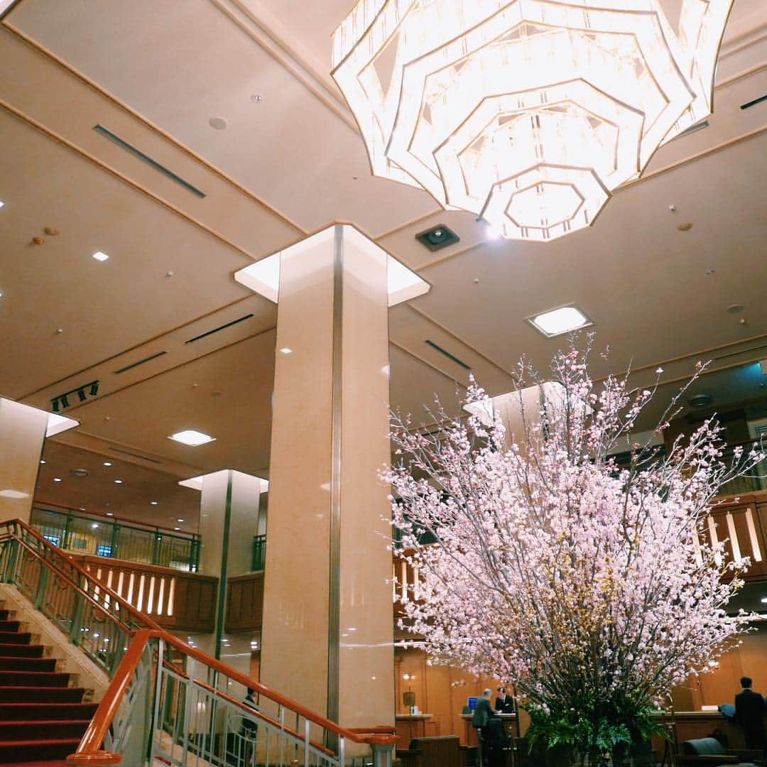 清水愛美さんのインスタグラム写真 - (清水愛美Instagram)「帝国ホテルの桜が綺麗すぎたよ😍🌸 * はやく花見したい！！(^^) 帝国ホテルのアフタヌーンティーも また行きたい！ * #帝国ホテル #桜 #サクラ #sakura #花見 #ホテル #imperialhotel  #japan」3月27日 18時27分 - manami_s0902