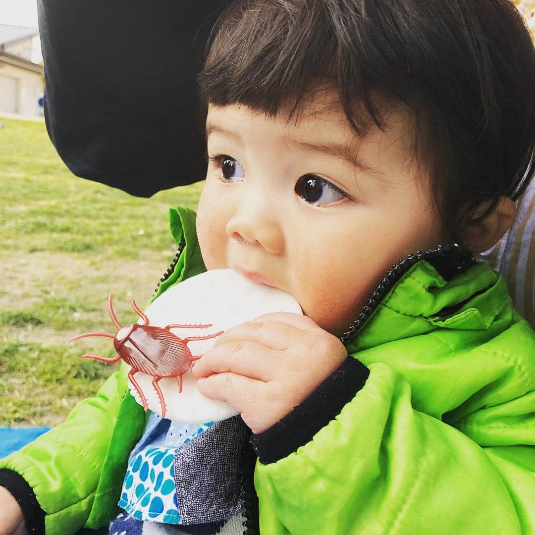 イーちゃんのインスタグラム：「このおもちゃかお菓子のどっちかで泣き止んだ」